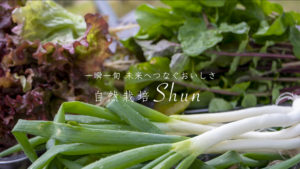 自然栽培　Shun