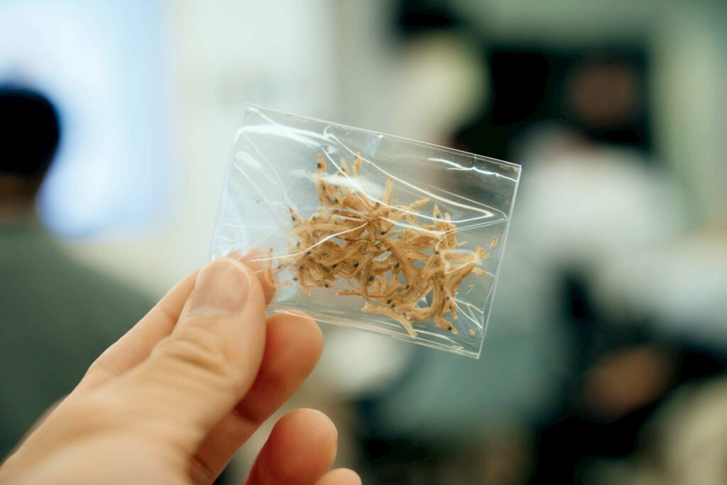 日髙水産と宮崎県デザイン経営推進事業プロジェクトアラカシ